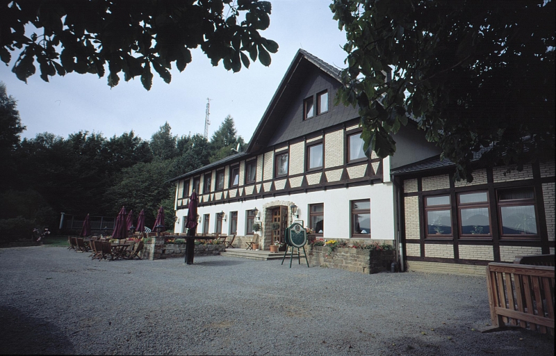 Waldquelle 1999