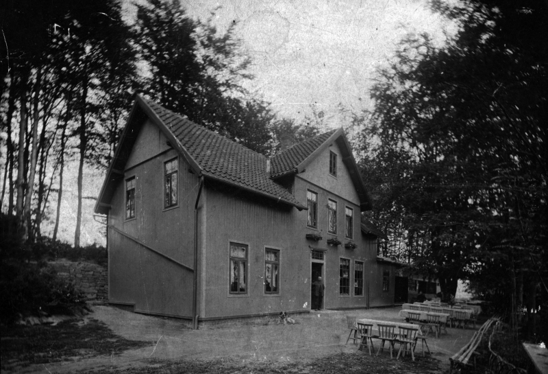 Waldquelle um 1915